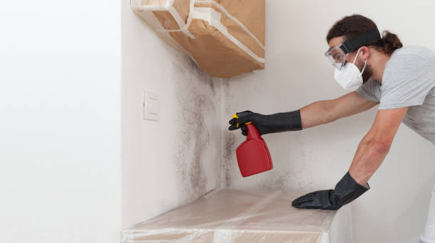 Professional Mold Removal technician working in Arlington, TX